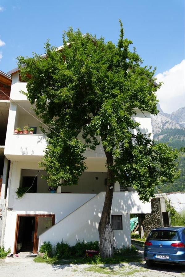 Guesthouse Skender Selimaj Valbona Exteriör bild